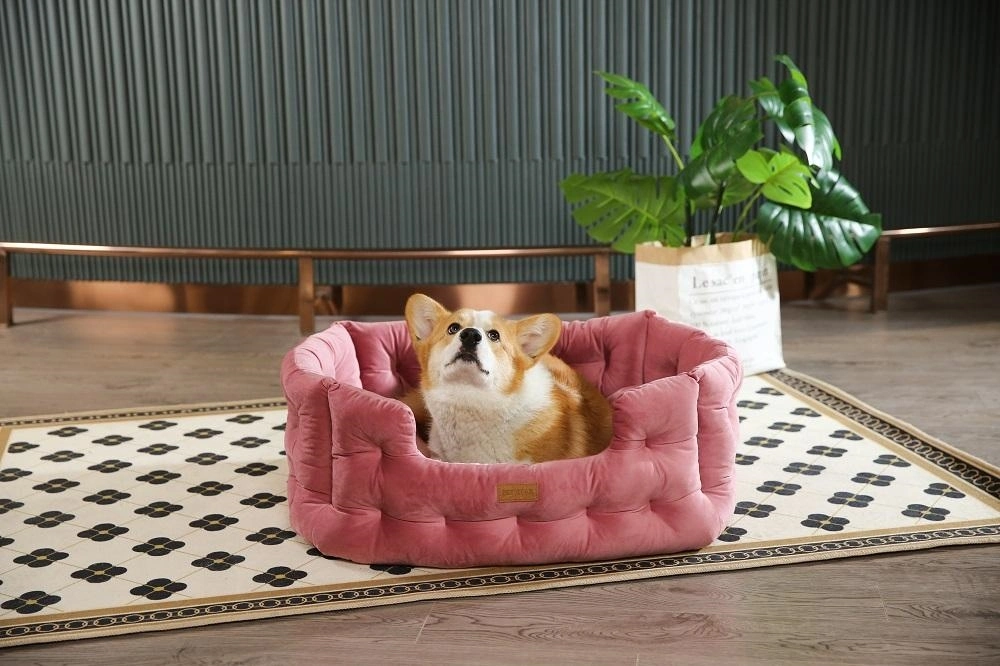 Comfortable Tufted Velvet Durable Indoor Luxury Dog Bed Cozy Removable Cushion Dog Sofa Bed