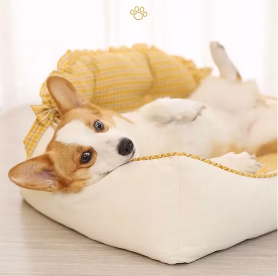 Luxury Removable Inner Cushion Novelty Washable Sofa Cave Cat and Dog Pet Bed