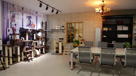 Modern Eco Friendly Wholesale Cat Condo Tree Tower with Hammock Bed